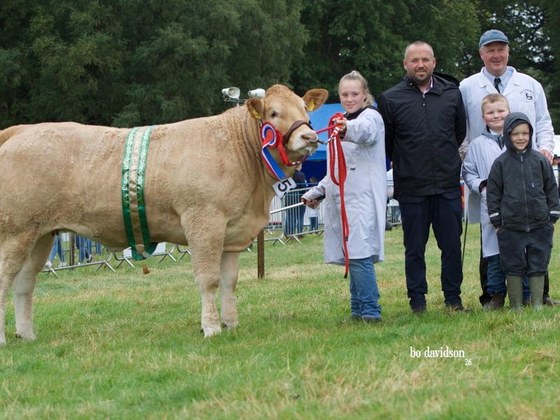Blonde Champion Ballygowan Alison with Kacey Bowman, Judge John Barry Moran and David, Matthew and George Gibson.