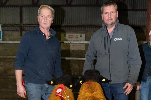 Richard Wilson and Andrew Wilson with the Best Pair at the Donegal Pedigree Suffolk Breeders Show and Sale in Raphoe Livestock Mart. Photo Clive Wasson
