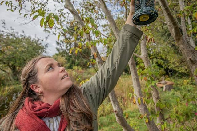 Hanging a bird feeder in advance of taking part in Big Garden Birdwatch, Sussex