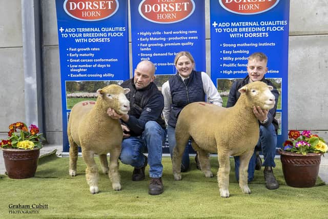 Ellen McClure sold her two ram lambs for 2100gns and 2500gns respectively to Bolton breeder Richard Fritton (left) of Dynamite Dorsets. Also pictured is Joe Redford (right).