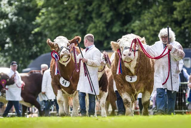 Turriff Show has an impressive number of exhibitor entries lined up for the whopping 1,500 plus classes taking place on Sunday 2 and Monday 3 August.