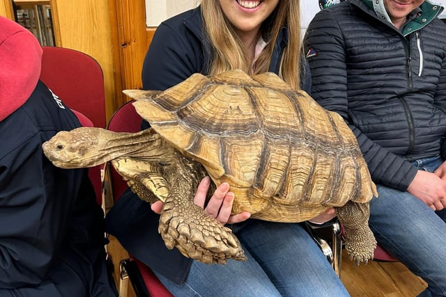Bleary YFC recently welcomed Jurassic Ark Encounters to a club meeting, pictured is Sarah Spence. Picture: Submitted
