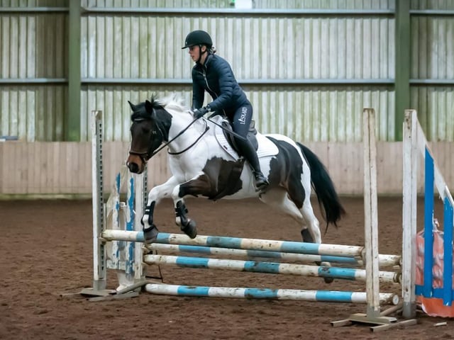 Sweet Lady of Mystery and Zara Jones take home 2nd place in Class 10. (Pic: Equi-Tog)