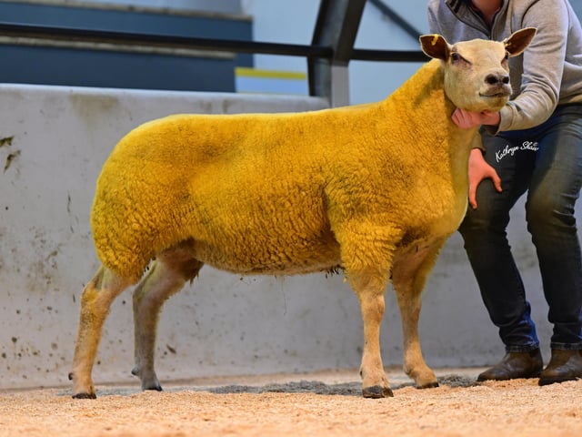 Lot 5 Selling for 2,100gns to Wesley Cousins