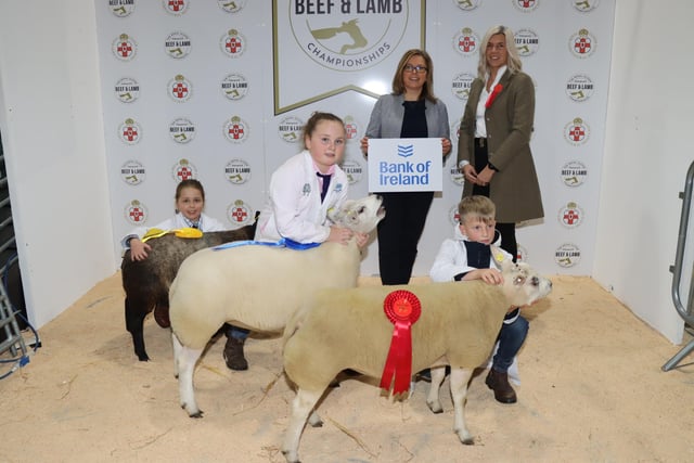 The Champion Sheep Young Handler 8 -12 years old sponsored by Bank Of Ireland at the 2022 Royal Ulster Premier Beef & Lamb Championships was exhibited by Jayden McCutcheon from Trillick.  Pictured (L-R) Naomi Higginson with Blue Texel (3rd place), Hayley Mackey with Beltex (2nd place), Jayden McCutcheon with Beltex (1st place), Diane McCall (BOI) and Rachel Megarell (Judge).