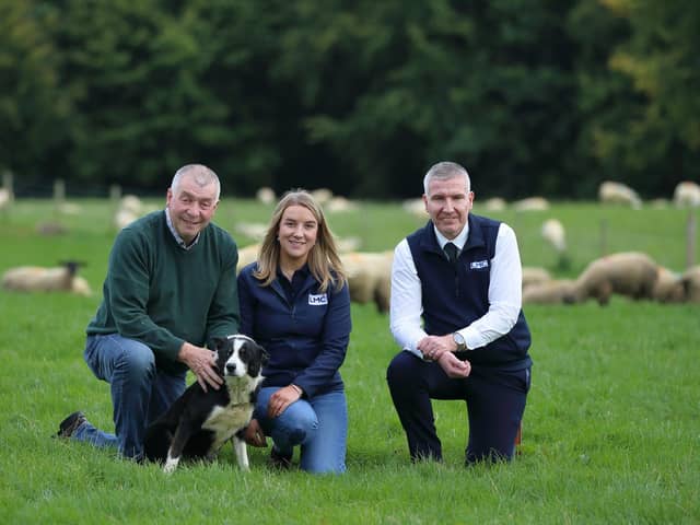 Clement Lynch, Ulster Farmers' Union, with Jo-Anne McKay and Ian Stevenson, from LMC, looking over some of the sheep on Mr Lynch's farm, at Tireighter Road, Claudy, ahead of Love Lamb Week. Picture: Cliff Donaldson