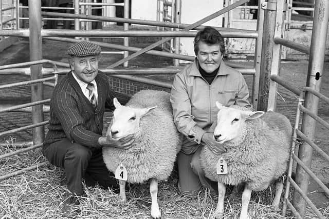 Texel pedigree sheep were in brisk demand at the breed show and sale which was held at Automart, Portadown, in October 1981.  Eric Williamson of Katesbridge, and his wife, Sally with their first and third prize Texel ewe lambs at the breed show and sale at Portadown. Picture: Farming Life archives/Darryl Armitage