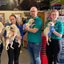 USPCA staff with the abandoned puppies