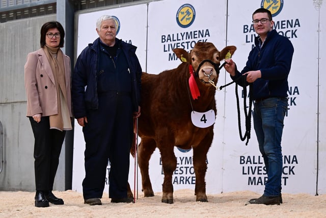 Anne McCrory, Danske Bank, congratulates class one prize winner Ian Davidson and Jacob McAuley, who exhibited Ballyrickard Umer. Picture: Alfie Shaw, Agri-Images