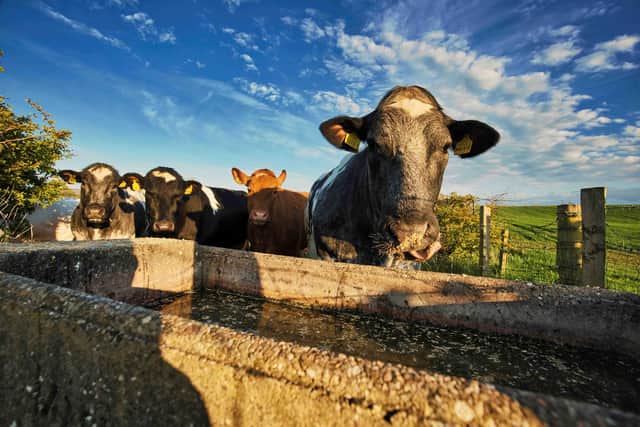 NI Water reminds farmers across Northern Ireland to use water efficiently during the summer months.