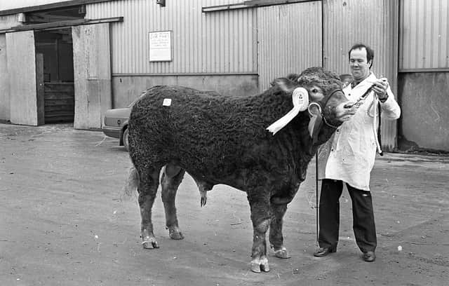 Trade for Limousins at the club sale in the Automart, Portadown, near the end of February 1992, was excellent and followed the trend that had been set in Perth. In this photograph we see David Allen with the supreme champion, Derg Fonzie. The animal, owned by John Allen, Victoria Bridge, Strabane, was sired by Ronic Dandy. Picture: Farming Life/News Letter archives