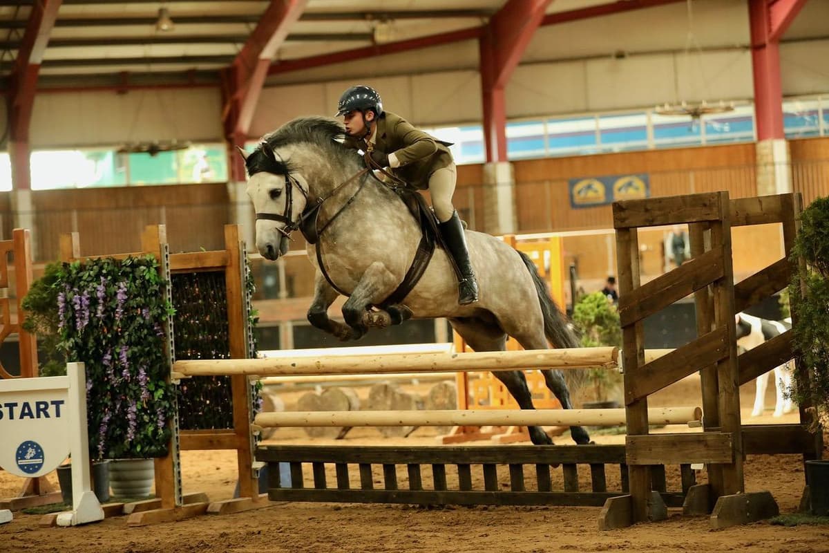 Horse Week: 19th Northern Ireland Festival held at Cavan Equestrian Centre