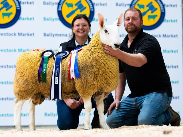Joanne McFarlane with her Border Leicester Show and Sale Champion 2025 with husband Alwyn.