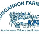 Dungannon Mart