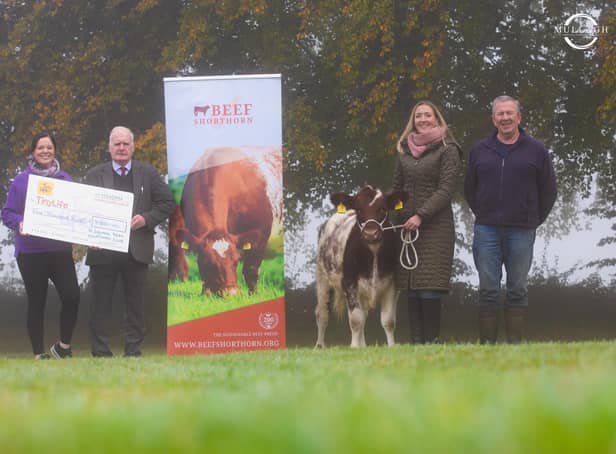 Leanne Beattie Tiny Life, Tom McGuigan chairman NI Beef Shorthorn Club, Ruth Will  (calf winner) and David Hammond, committee member. Image: Mullagh Photography
