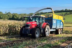Maize harvest underway at Loughgall last October. Picture: David Johnston