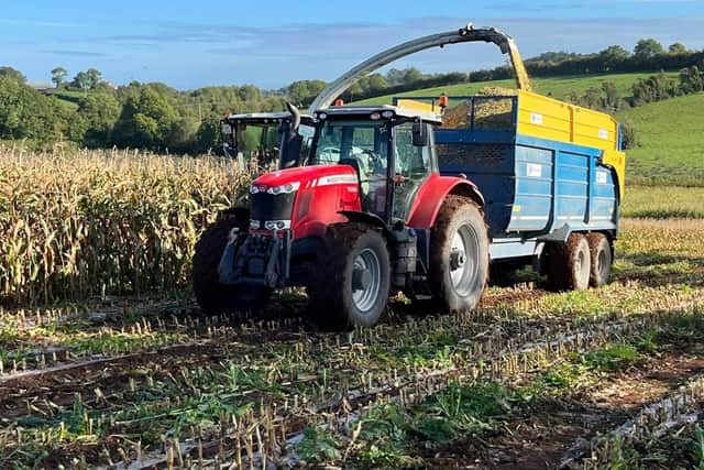 Maize harvest underway at Loughgall last October. Picture: David Johnston