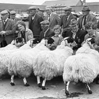 A Snapshot from the Farming Life photo archives from 1981