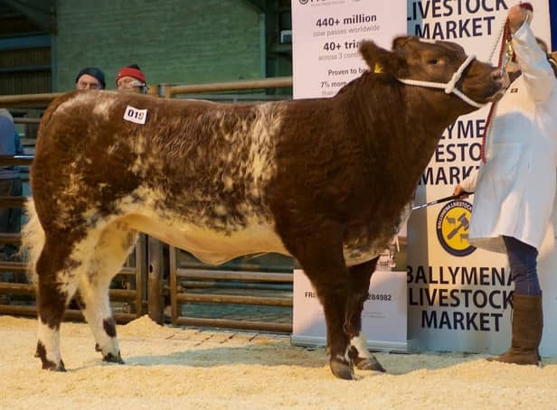 Reserve AOB (Shorthorn beef heifer) topping the sale at £3800