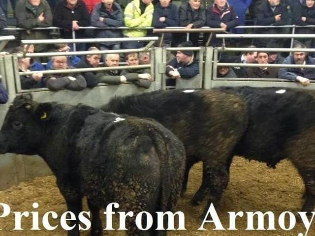 Armoy Mart