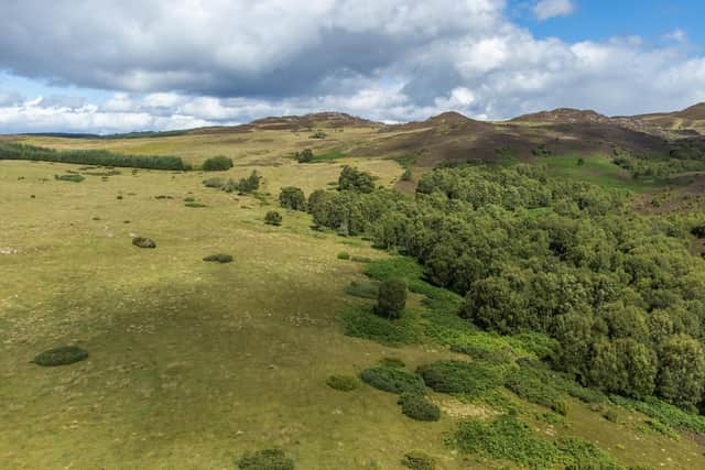 Galbraith is bringing to the market an established livestock farm of nearly 575 acres and a neighbouring block of land and woodland of over 1,100 acres in a superb location at Drumnadrochit, above Loch Ness.