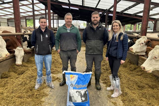 Why Transition milk replacer is a permanent fixture in dairy farm’s ...