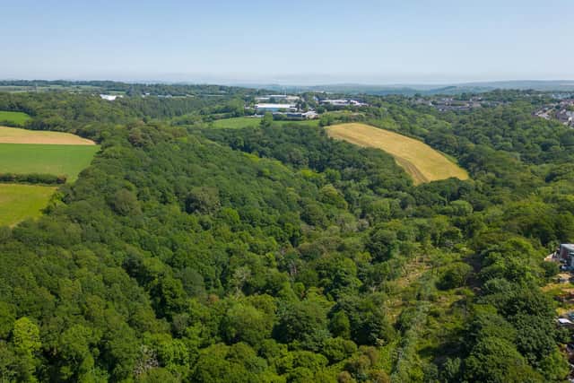Roborough woodland  has a guide price of £695,000.