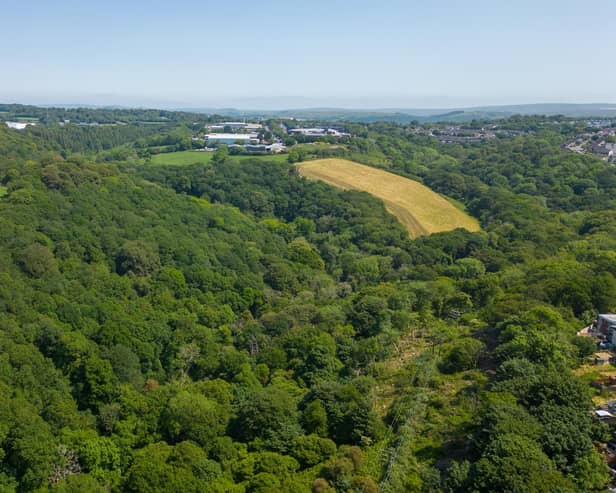 Roborough woodland  has a guide price of £695,000.