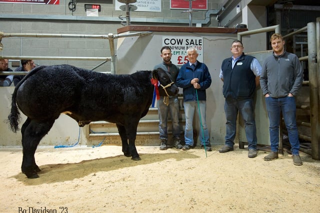 Markethill: Leo Fearon exhibited the first prize male and reserve champion. He was congratulated by judge Des O’Hanlon and mart staff. Picture: Bo Davidson