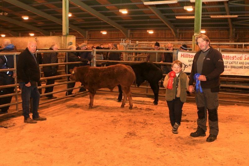There was an outstanding turn out of top quality cattle at Hilltown Saleyard’s annual Christmas show and sale on Tuesday 14th November 2023.  First and second weanling bulls exhibited by Peter Clerkin, pictured with his son and class sponsor Colin Reid. Picture: Submitted