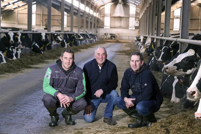 Stuart, William and Jason Graham, Graham Farms, Co.Fermanagh, N.Ireland. (Pic: John McVitty)