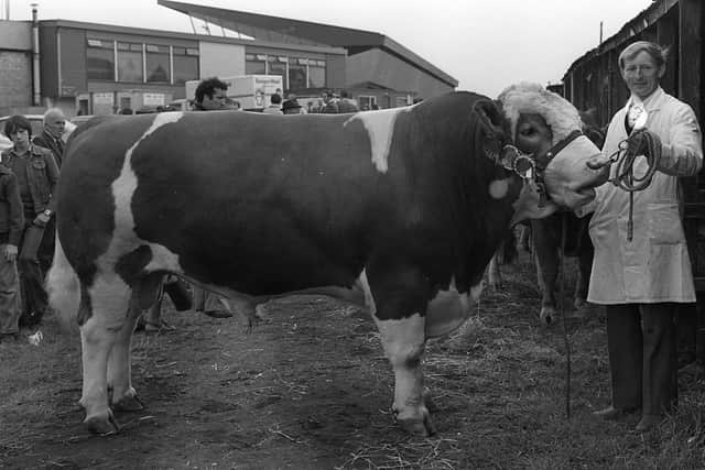Pictured in June 1980 is John Gillian from Armoy with the Simmental champion at the Ballymena Show. Picture: Farming Life/News Letter archives/Darryl Armitage