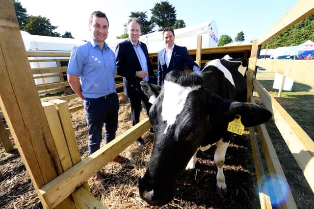 Celebrating World Milk Day is Marcus O'Halloran (Executive Director of Agri Aware), Minister for Agriculture, Food and the Marine Charlie McConalogue and Minister Martin Heydon with Daisy the cow at the Agri Aware farmyard at the Bloom festival in Dublin.
Photo: Justin Farrelly.