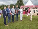 Pictured at 2023 Diageo Baileys Champion Cow competition at the Virginia show in Cavan were Shane Kelly, Corporate Relations Director Diageo Ireland, John Murphy, Chairperson Tirlan, Min Martin Hayden TD Min of State Dept of Agriculture, Joshua Ebron, Herdsman and Mark Henry, Handler with Irish Diageo Baileys Champion Cow 2023 Lumville M Danoise.