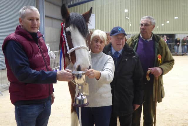 Senior Champion – Croaghmore Maureen with owner Sandra Henderson, sponsors Kenneth Irwin, Craig Black and Judge Benny Duncan. (Pic: CLHBS)