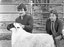 Charles and John Harkin from Donemana, Co Tyrone, pictured in October 1982, with their Blackface pedigree reserve supreme champion ram lamb, which made the top price of 1,200 guineas at the breed show and sale at Ballymena. Picture: Farming Life/News Letter archives