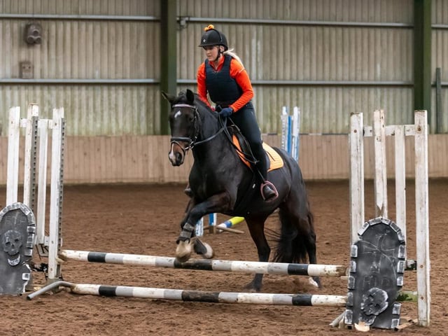 Sophia Hastings and Mayday Mayday come in third in Class 6. (Pic: Equi-Tog)