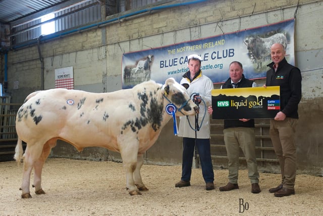 Reserve Champion Breezehill Starburst with owner Isaac Ward judge Oliver Mc Cann and sponsor Paul Elwood