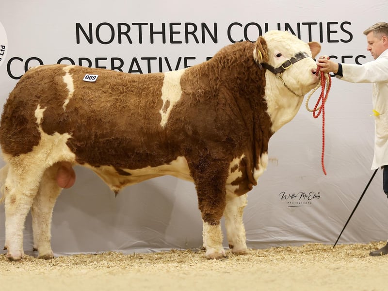 Corrick Senator 6000gns