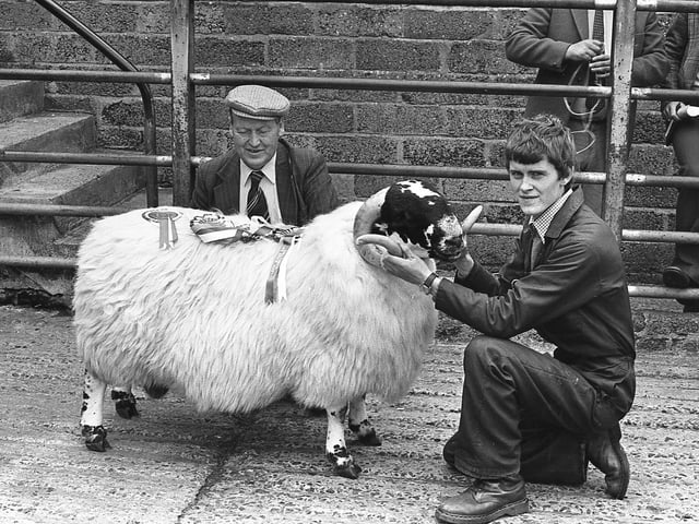 This collection of old photos is from 1981.