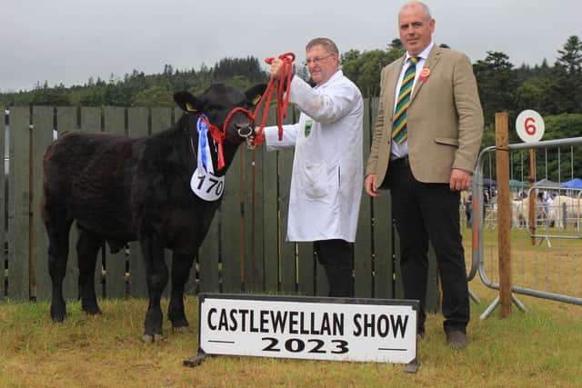 Reserve champion at the NI Aberdeen Angus Club’s Ulster Final was Slievecroob Kyle Z906 exhibited by David Whan, pictured with judge Jonathan Doyle, Cookstown. Picture: Julie Hazelton