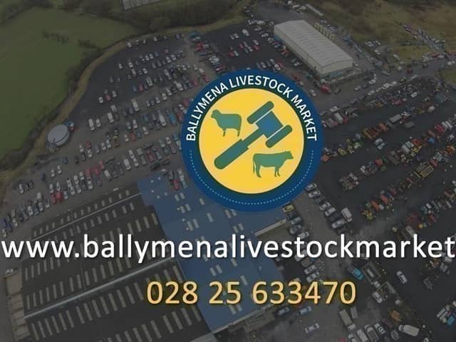 Ballymena Livestock Market