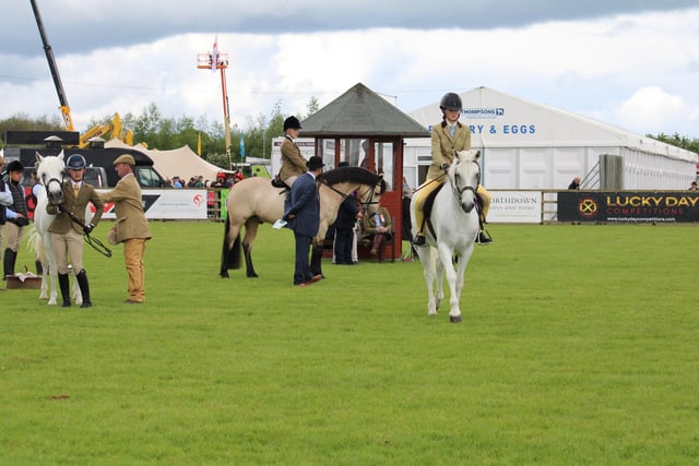 The equestrian classes at the Balmoral Show are always very popular with show-goers and so it has been again this year. Pictures: Joanne Knox