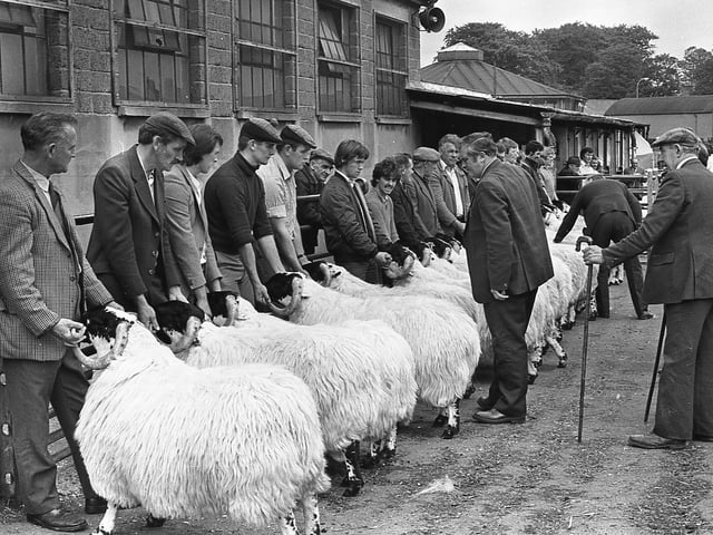 This collection of old photos is from 1981.