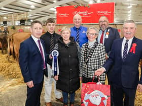 The Best Kept Dairy Stall at the 36th Royal Ulster Winter Fair in association with sole sponsor Danske Bank was won by Kirkinriola Pedigree Livestock. They were also awarded the most festive stand at the Show. Pictured: Rodney Brown Head of Agribusiness Danske Bank, Jack, Martin and Jacqueline King, RUAS President Christine Adams, David Mark RUAS Steward and Ian Wilson Trade Stand Judge. Picture: Brian Thompson