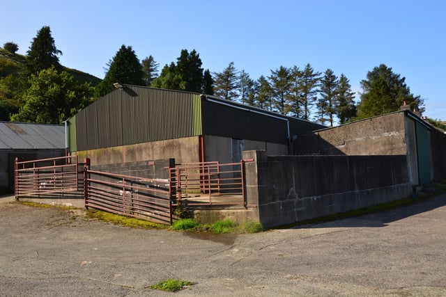 Outside, there is an excellent range of farm buildings and livestock accommodation with good handling facilities. (Pic: J.A. McClelland & Sons)