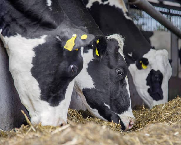 The UFU has said this week the gap in milk price is unsustainable.