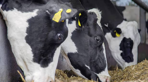 The UFU has said this week the gap in milk price is unsustainable.