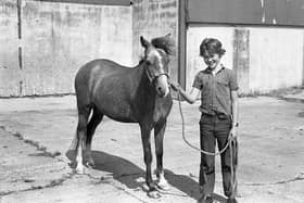 Conor McHenry of Brankinston Road, Aghalee, pictured with his pony, Gringo, in August 1982. Picture: Farming Life/News Letter archives