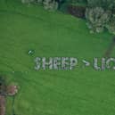 Paddy Power unveils a giant message of support for Wales at Gower Salt Marsh Farm, using 1,200 sheep to cheekily poke fun at the England team, ahead of the World Cup clash between the two UK nations.